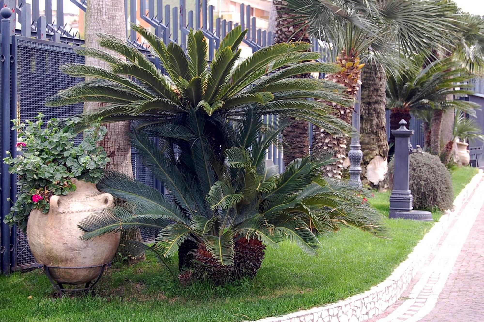 فندق يستورانتي دوناتو إس آر إل Calvizzano المظهر الخارجي الصورة